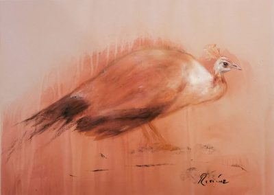 "Studie: Vogel" von Rafael Ramírez Máro